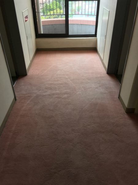 作業後　土砂汚れ洗浄後
