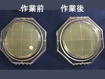 保冷庫取手