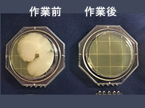 PCマウス