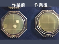 椅子背もたれ
