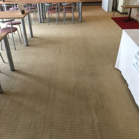 【宿泊施設】カーペットクリーニングサムネイル
